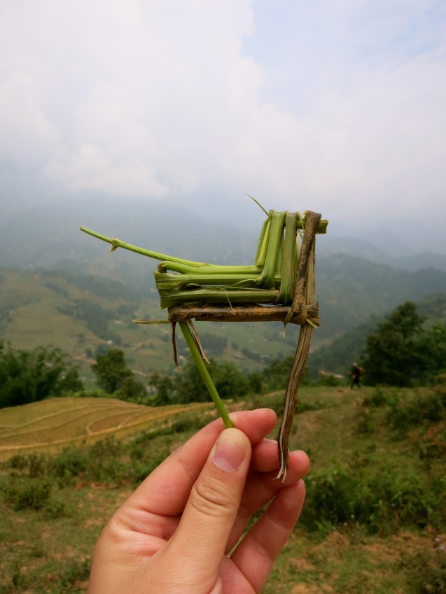A horse made of ferns given to us by one of the Black Hmong women who walked with us
