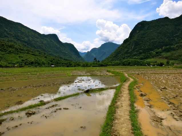 The shortcut back through the rice paddies